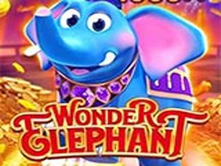 WONDER ELEPHANT