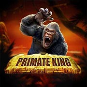 PRIMATE KING